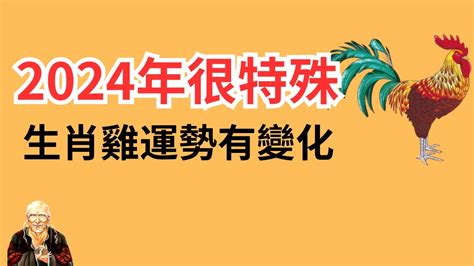 雞年幸運顏色|2024 屬雞幸運色公開！風水專家指點：藍白帶來好運 